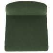 Safavieh Derrick  Birch and Steel  Dining Chair in Green