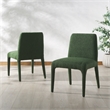 Safavieh Derrick  Birch and Steel  Dining Chair in Green