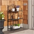 Safavieh Torus Iron Shelf Storage in Black