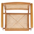 Safavieh Ender Rattan Accent Chair in Natural