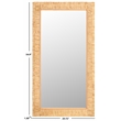 Safavieh Zoelle Wood and Iron Mirror in Natural