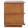 Safavieh Rodney Metal and Wood 2 Drawer Nightstand in Walnut