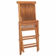 Safavieh Holly Solid Teak Wood Folding Chair in Natural