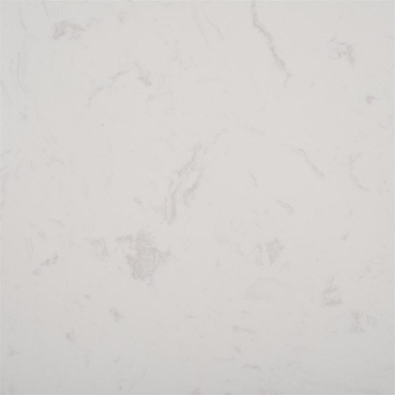 Safavieh Puck Marble Top and Elm Wood Coffee Table in Black / White