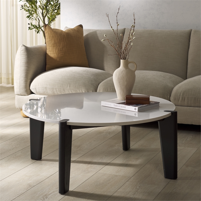 Safavieh Garcia Marble Top and Elm Wood Coffee Table in Black / White