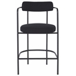Safavieh Andrean Wood and Iron Arm Counter Stool in Black
