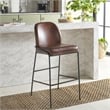 Safavieh Ivey Wood and Iron Bar Stool in Brown / Black
