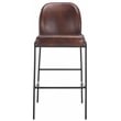 Safavieh Ivey Wood and Iron Bar Stool in Brown / Black