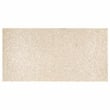 Safavieh Scarlett Rectangular Prism Solid Wood Coffee Table in Natural / Silver