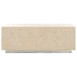 Safavieh Scarlett Rectangular Prism Solid Wood Coffee Table in Natural / Silver