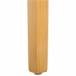 Safavieh Suzetta Pine Wood Dining Chair in Natural / White