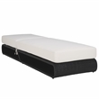 Safavieh Vale Steel and Polyester Lounger in Black / White