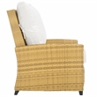 Safavieh Landon Aluminum and Polyester Recliner Chair in Natural / White