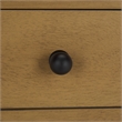 Safavieh Haven Wood 2 Drw Large Console in Brown