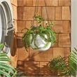 Safavieh Rancer Jute and Concrete Planter in White