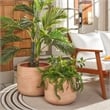 Safavieh Nardo Planter Pot Set of 2 in Terracotta