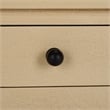 Safavieh Haven Wood 1 Top Drw Accent Table in Natural
