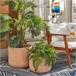Safavieh Lucca Planter Pot Set of 2 in Terracotta