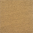 Safavieh Haven Wood Accent Table in Brown