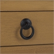 Safavieh Haven Wood Low Drawer Accent Table in Brown