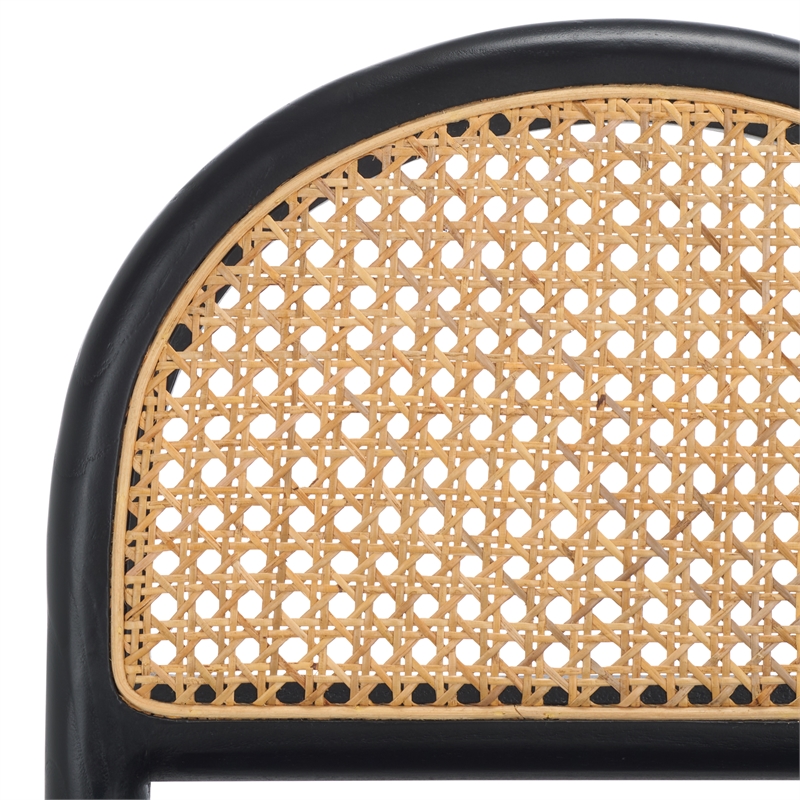 Safavieh Laylie Rattan And Leather Counter Stool in Black