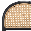 Safavieh Laylie Rattan And Leather Counter Stool in Black