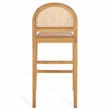Safavieh Laylie Rattan And Leather Counter Stool in Brown / Natural