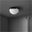 Safavieh Eddie Alabaster Iron Flush Mount in Black / Off White
