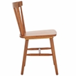 Safavieh Winona Wood and Steel Spindle Back Dining Chair in Brown