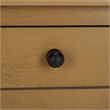 Safavieh Haven Wood 2 Drw Desk in Brown