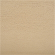 Safavieh Thurston Wood 2 Drw Console in Natural