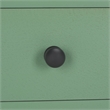 Safavieh Haven Wood 2 Drw Large Console in Sage
