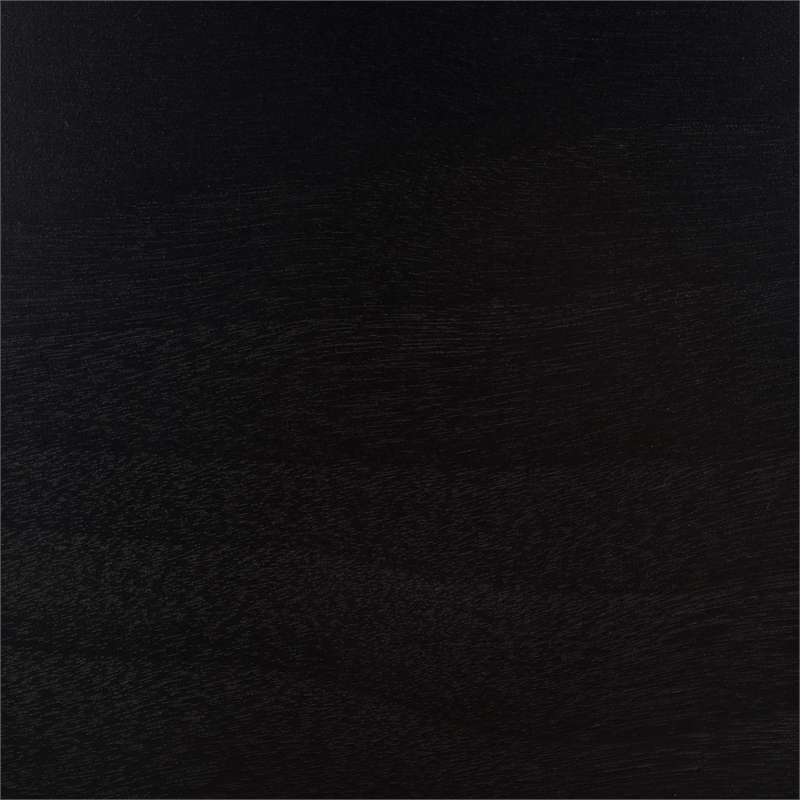 Safavieh Haven Wood Lower 2 Drw Console in Matte Black