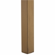 Safavieh Haven Wood Lower 2 Drw Console in Brown