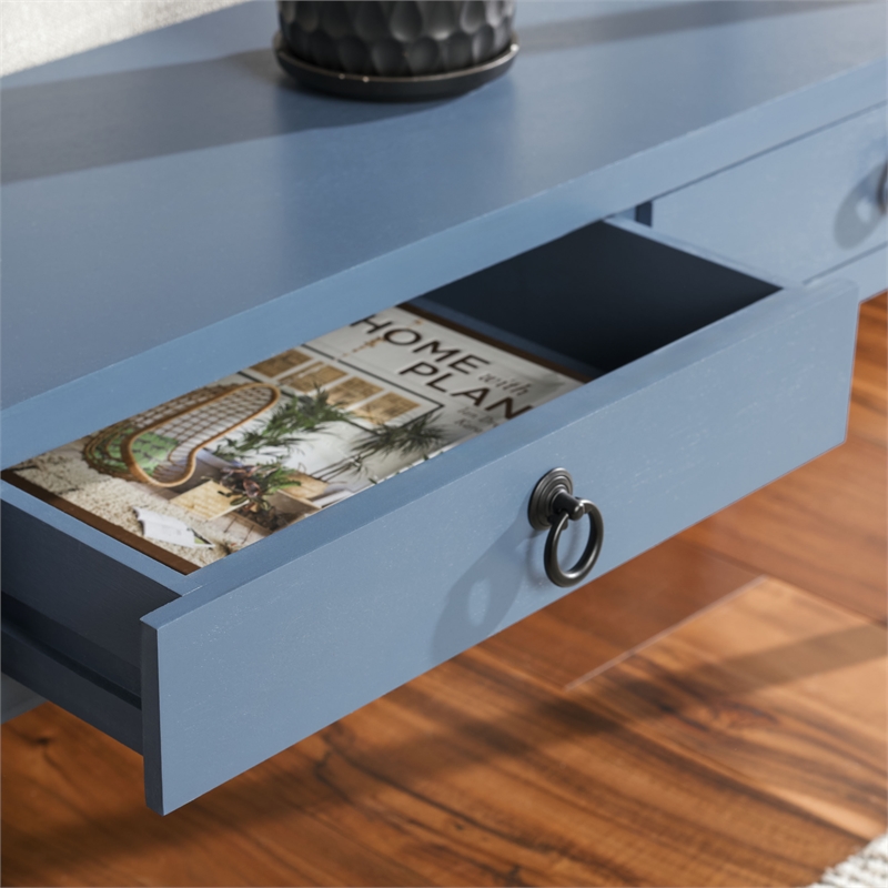 Safavieh Haven Wood Lower 2 Drw Console in Blue