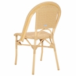 Safavieh Torino Aluminum Side Chair Set Of 2 in Natural
