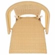 Safavieh Torino Aluminum Side Chair Set Of 2 in Natural