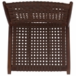 Safavieh Soleil Leather and Wood Accent Chair in Amber / Brown