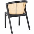 Safavieh Edan Wood and Iron Dining Chair in Black / White
