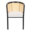 Safavieh Edan Wood and Iron Dining Chair in Black / White