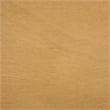 Safavieh Samantha Wood and Metal Console in Camel