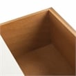Safavieh Ajana Wood and Metal 2 Drawer Console Table in White / Light Brown