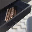 Safavieh O'Dwyer Wood 2 Drawer Desk in Black