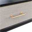 Safavieh Estella Wood and Metal 2 Drawer Console Table in Black