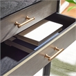 Safavieh Estella Wood and Metal 4 Drawer Console Table in Black