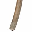 Safavieh Franklin Wood Barstool in Gray