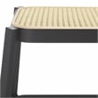 Safavieh Jaguar Wood and Iron Cane Bench  in Black / Natural