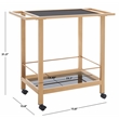 Safavieh Gaelle Iron and Glass 2 Tier Bar Cart With Handles in Gold / Black