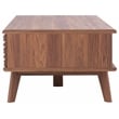 Safavieh Rori Wood and Metal 2 Door Coffee Table in Walnut