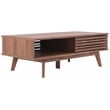 Safavieh Rori Wood and Metal 2 Door Coffee Table in Walnut